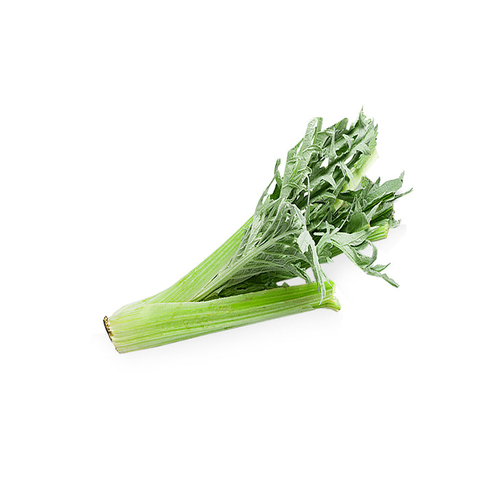 القردون (U)