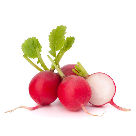 الفجل (U)