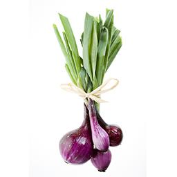 البصلة الخضارية (kg)