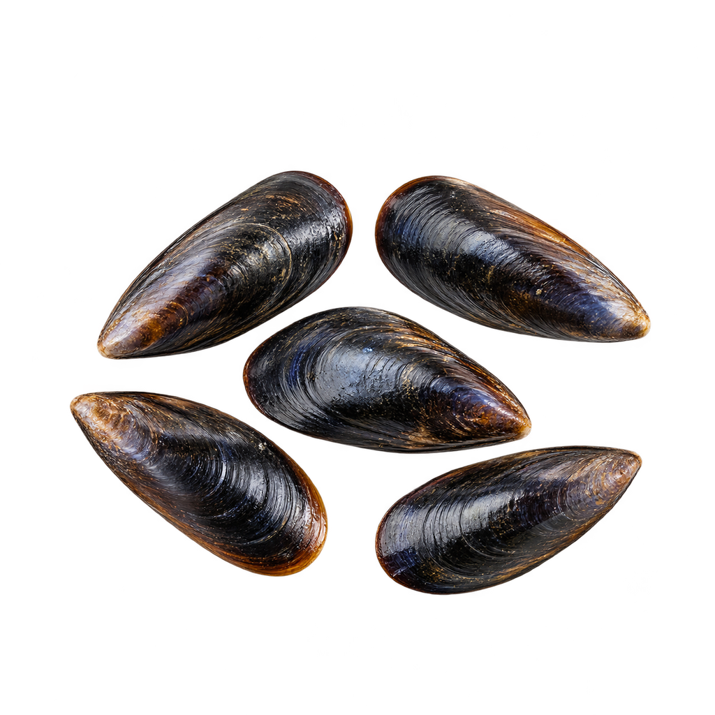 Mussels (kg)