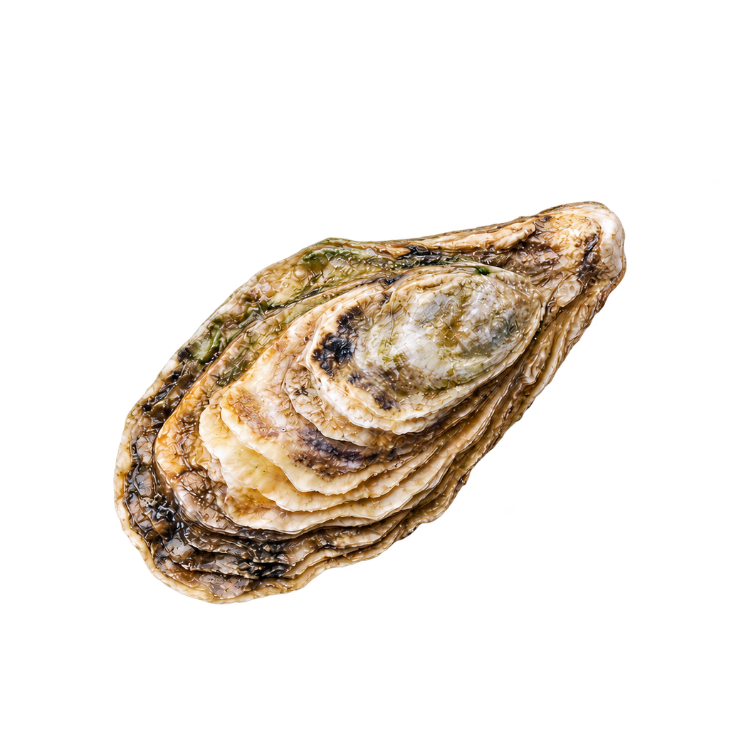 Oyster (unit)