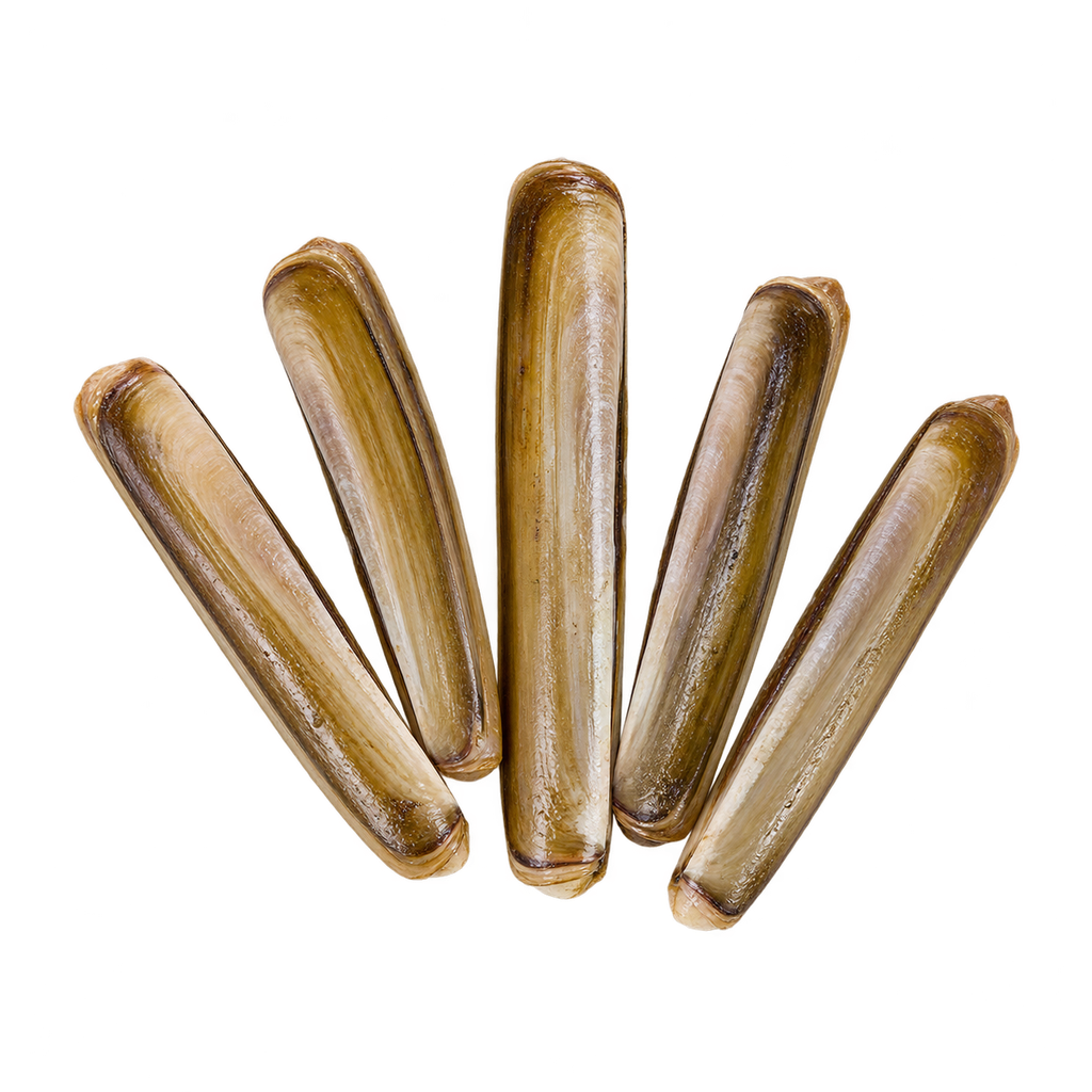 Razor clams (kg)