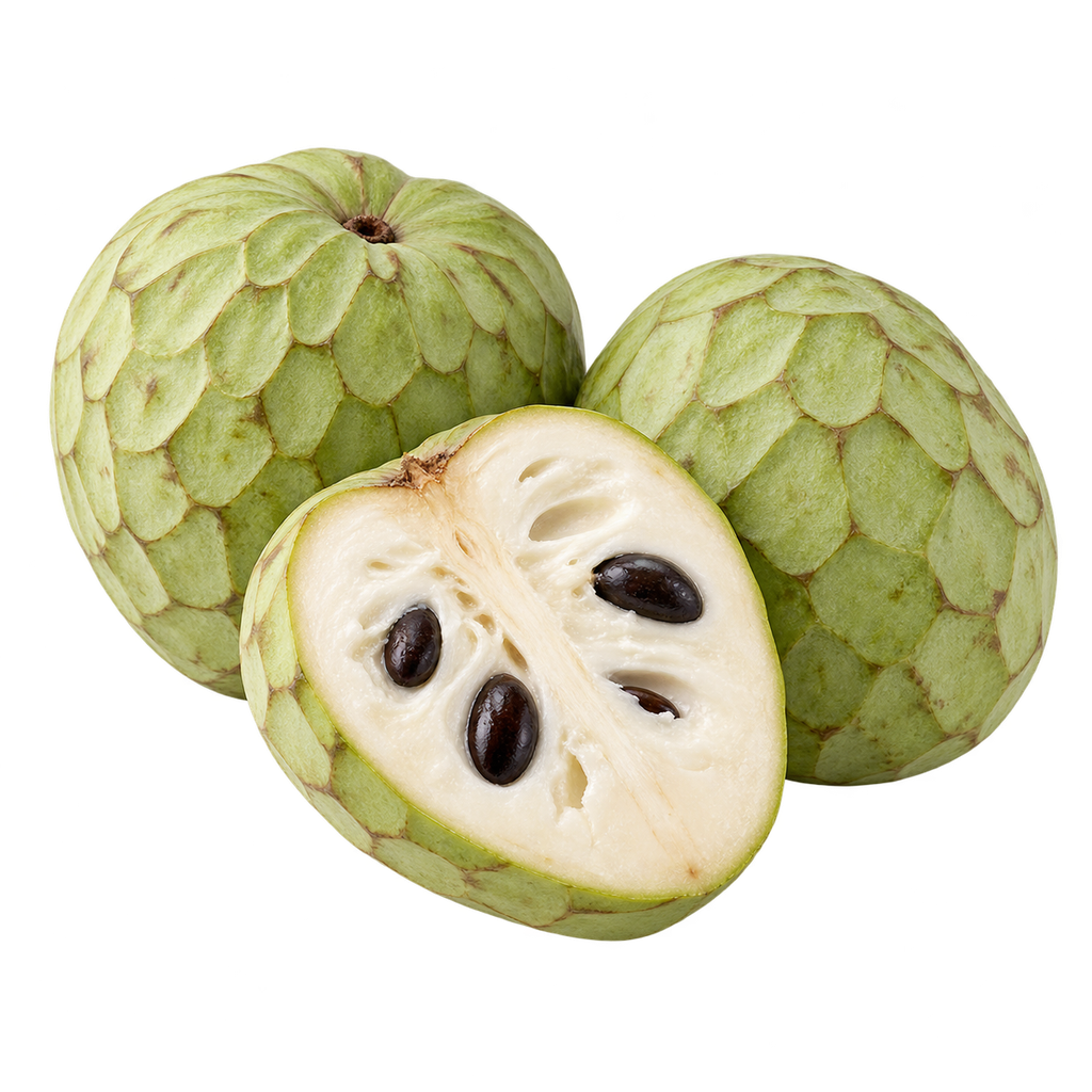 قشطة (كغ)