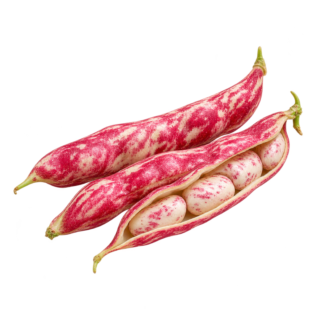 Fresh Grenier shell beans (kg)