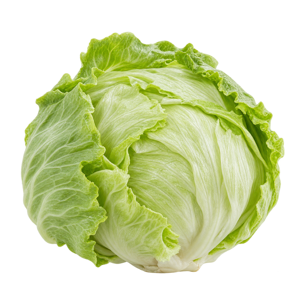 Laitue iceberg entière (U)