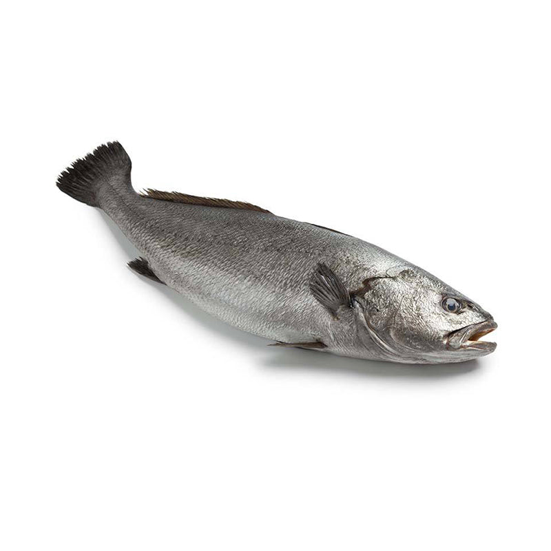 أومبرين (kg)