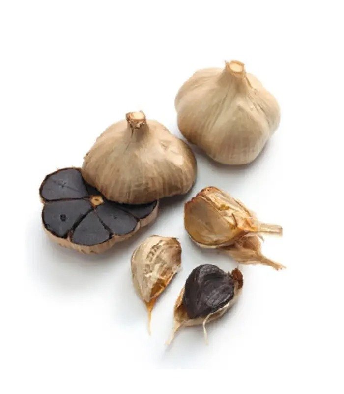 Black garlic in morocco (kg)