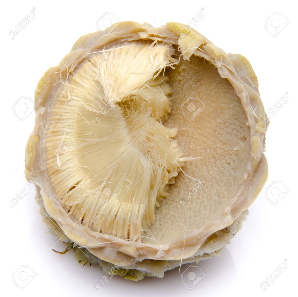 المقشر (kg)