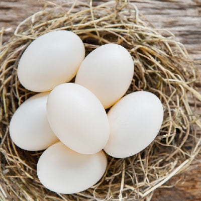 Oeufs beldi (U)