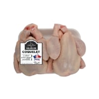 Coquelet (U)