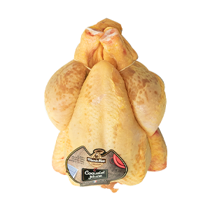 Coquelet fermier (U)
