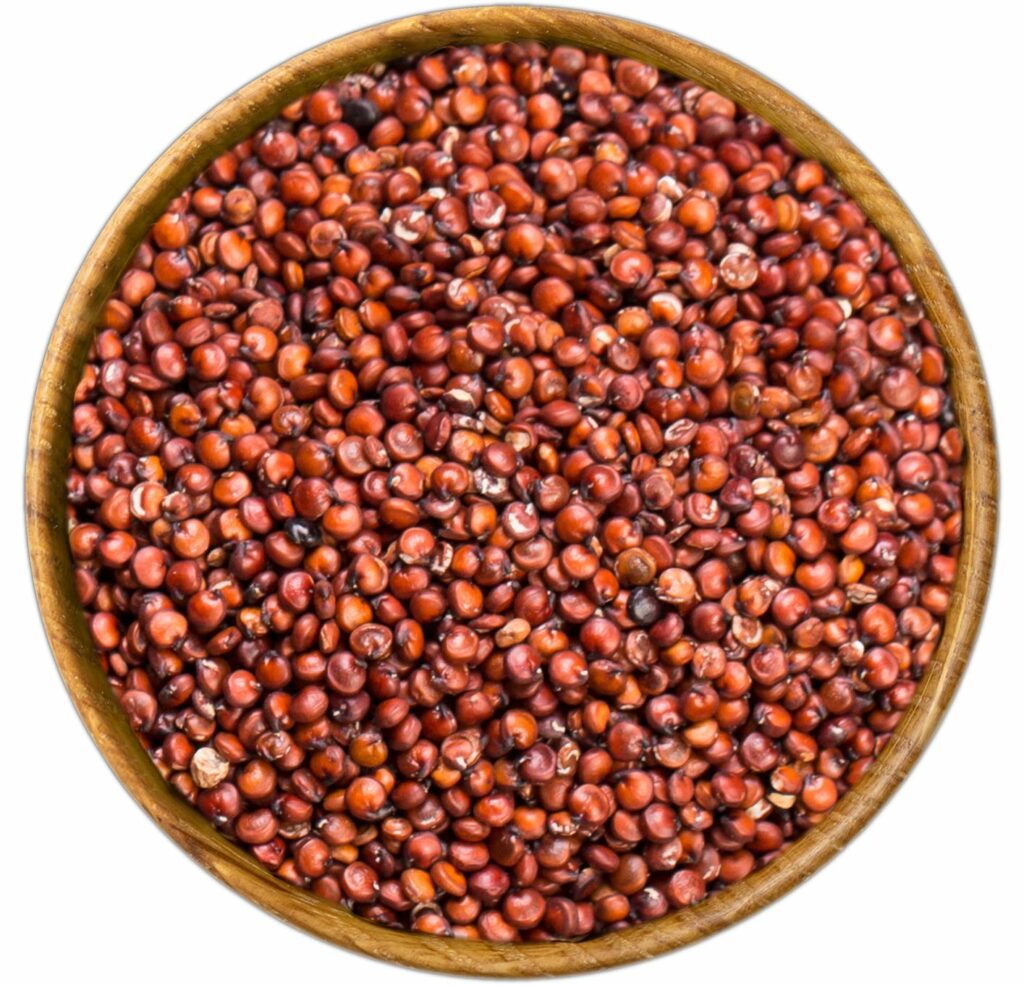 الكينوا الحمراء (U)