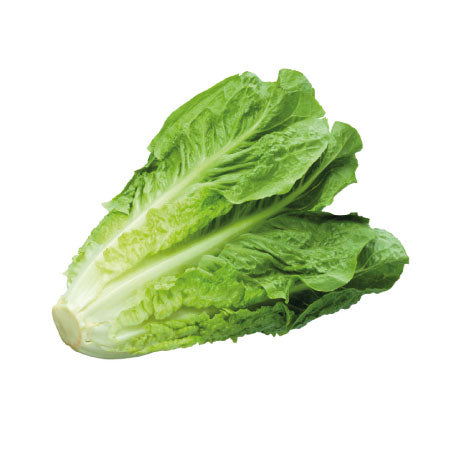 الخس البلدي (U)