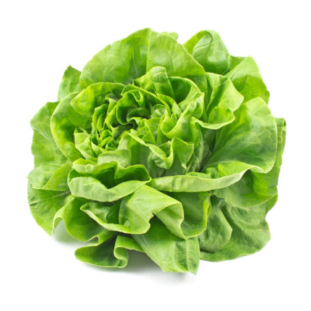 Lettuce
