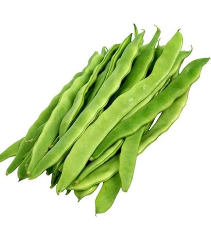 Haricot merveille de venis (kg)
