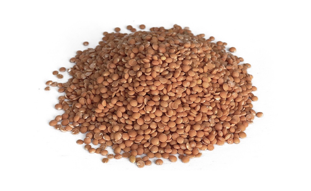 Lentils (kg)