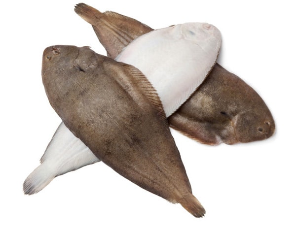 Sole fish for filleting