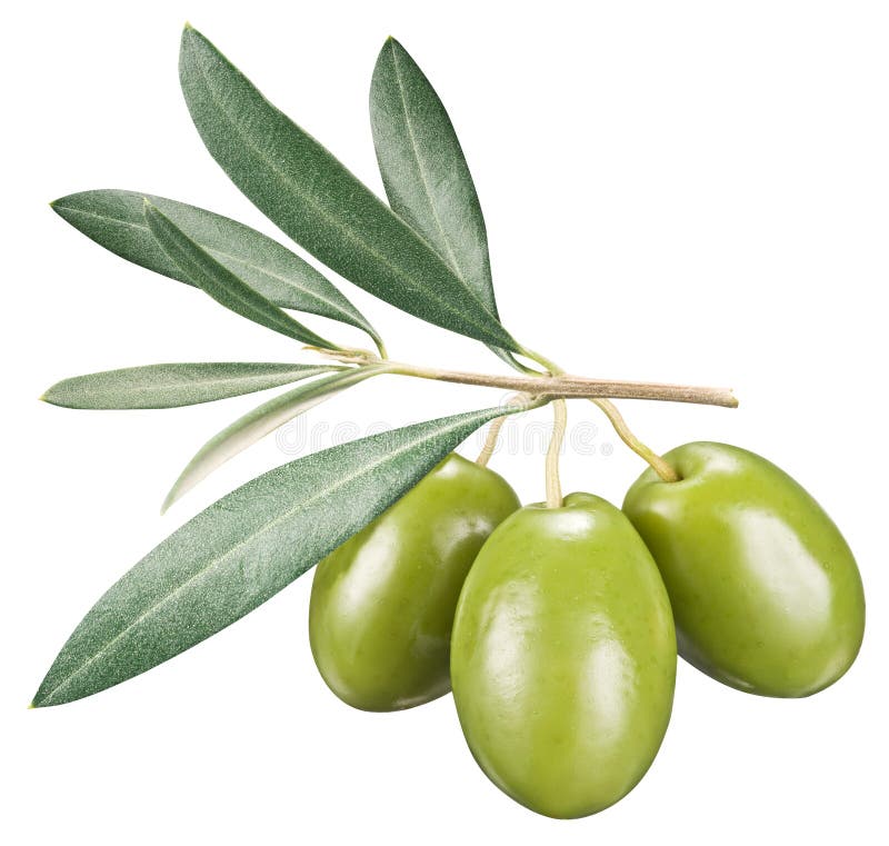 زيتون أبيض الحجم (kg)