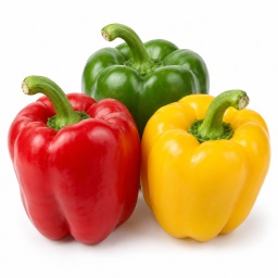 [LP-1026] Sweet pepper