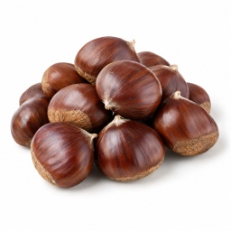 [LP-1027] Chestnut