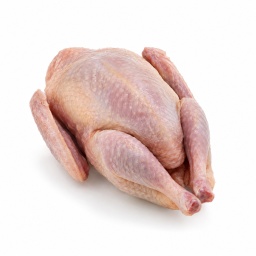 [LP-1043] Whole pigeon