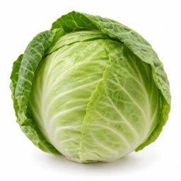 [LP-1092] Cabbage