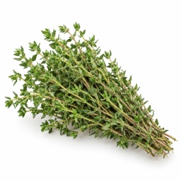 [LP-1103] Fresh thyme
