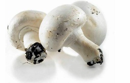 [LP-112] White mushrooms (kg)