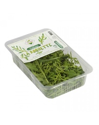 [LP-14] Roquette (U)