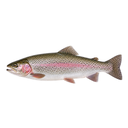 [LP-1480] Trout (kg)