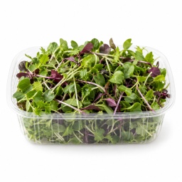 [LP-19] Microgreens tray (U)
