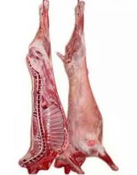 [LP-207] Lamb carcass (kg)
