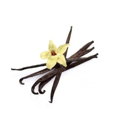 [LP-214] Madagascar vanilla beans in morocco (kg)