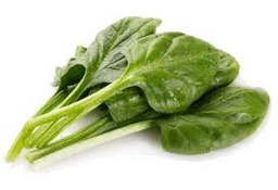 [LP-240] Spinach (kg)