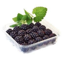 [LP-251] Blackberries (tray) (U)