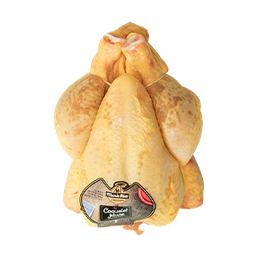 [LP-260] Coquelet fermier (U)