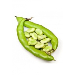 [LP-266] Broad beans (kg)