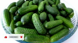 [LP-279] Giant gherkins (kg)