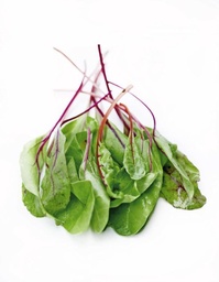 [LP-284] Baby beet leaves 100 g (U)