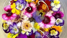 [LP-31] Edible flower (U)