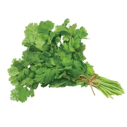 [LP-33] Fresh coriander (U)