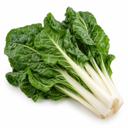 [LP-331] Swiss chard leaves (U)
