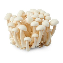 [LP-352] Champignon shimeji (U)