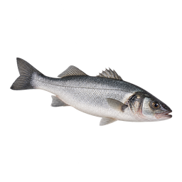 [LP-389] Sea bass (kg)
