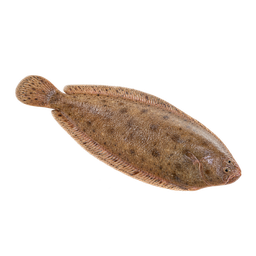 [LP-390] Sole à fileter