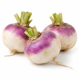 [LP-866] Turnip
