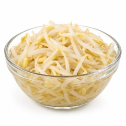 [LP-965] Canned soybean sprout