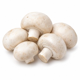 [LP-983] Mushroom